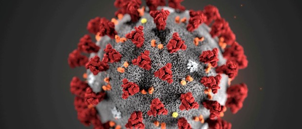 virus