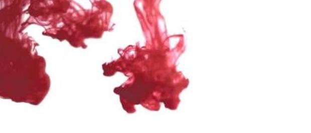sangue