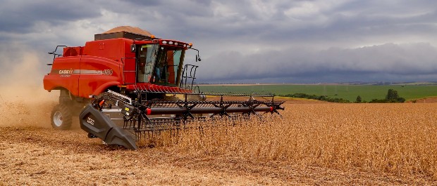 agricultura