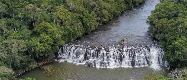 petrobgras no paraná
