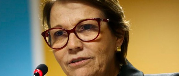 tereza cristina