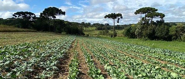 agricultura