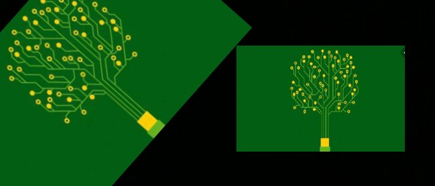 dinhiero verde