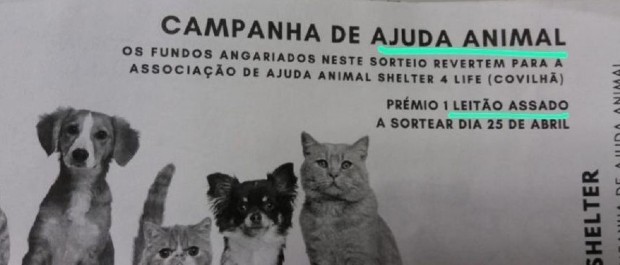 leitãoi