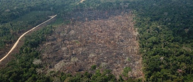DESMATAMENTO AMAZÔNIA 18 07 22