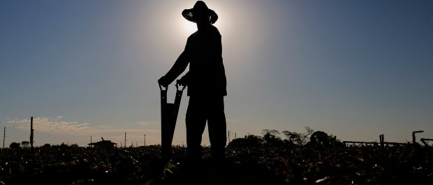 agricultor Jonathan Campos AEN