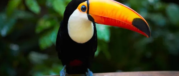 tucano 20 07 22