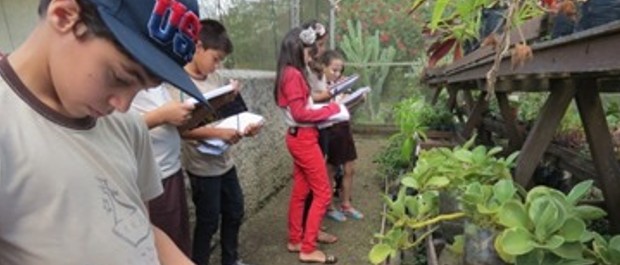 ESCOLAS DOS SONHOS