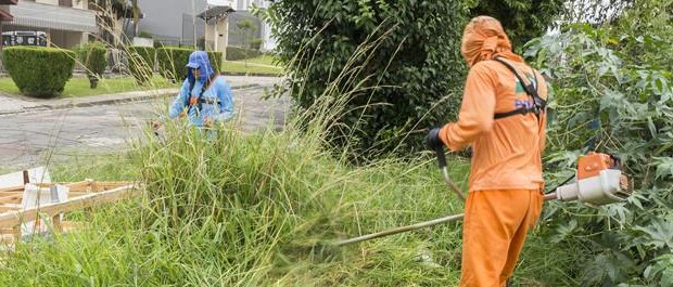 roçada