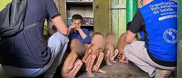 calamidade indigena
