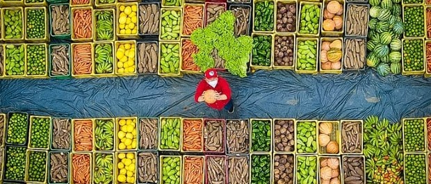 fome alimentação