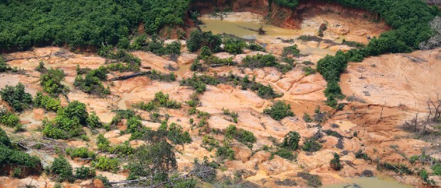 garimpo roraima