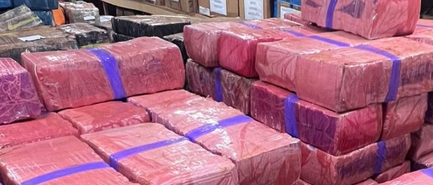 maconha
