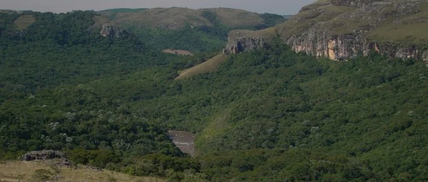 O Paraná precisa avançar na gestão de seu Patrimônio Natural – Por Clóvis Borges
