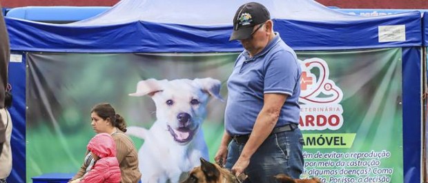 Mutirão para castração gratuita de cães e gatos chega a mais uma regional de Curitiba. Saiba como se inscrever