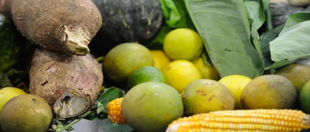 25% dos alimentos de origem vegetal no país têm resíduos de agrotóxicos
