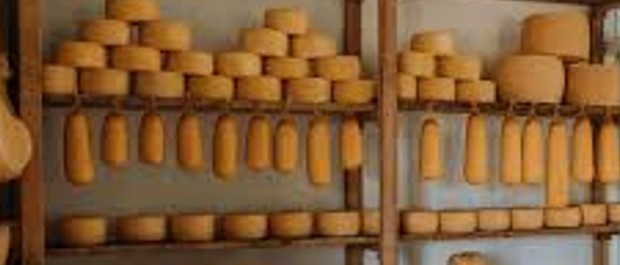 Valorização do nosso queijo