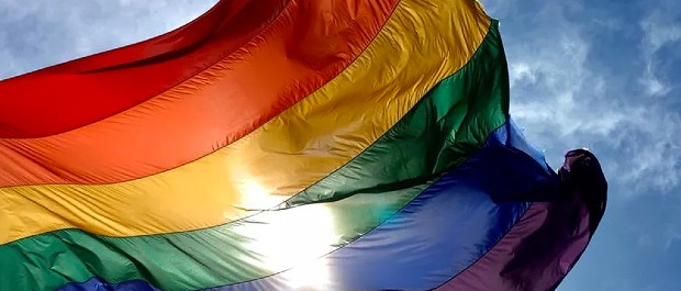 Dia do Orgulho LGBTQIA+: país tem longa<br>história de luta por direitos