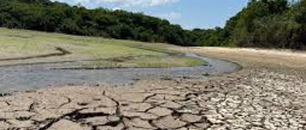 amazonia seca