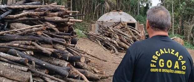 Desmatamento ilegal na região Central do Paraná. Multas chegam próximo a R$ 7 milhões