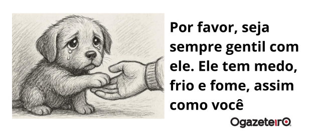 apoio 2