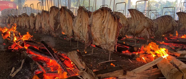 FESTA CACAVE