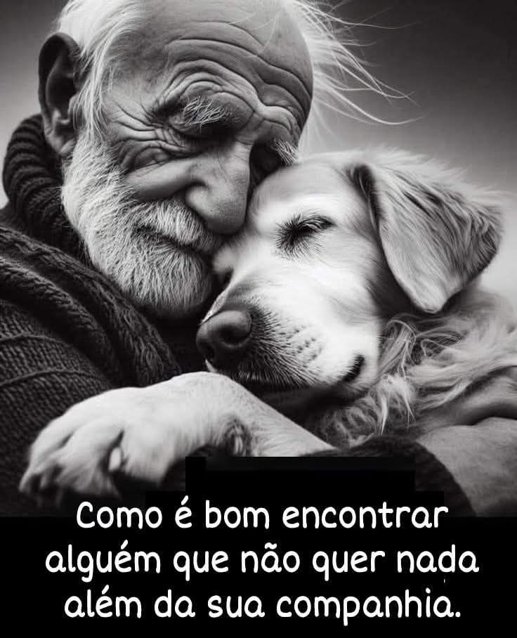 Imagem do WhatsApp de 2025-06-01 à(s) 17.10.37_6148908f