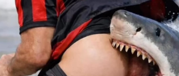 Design sem nome (23)